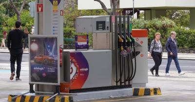 Entre janeiro e março de 2024 foram introduzidos 26 milhões de litros de gasóleo (menos 0,3% que no período homólogo).