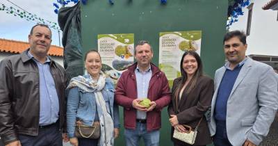 JPP diz que Governo “deve promover condições para aumentar produção de anona”