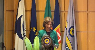 “É preciso reforçar a proteção dos consumidores”, alerta Paula Margarido