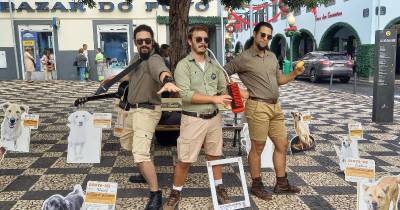 Oito ações de sensibilização foram realizadas este ano nas ruas do Funchal.