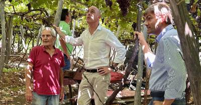 A visita mais recente ocorreu no concelho de Câmara de Lobos, onde foram acompanhados diversos viticultores, sobretudo da casta Tinta Negra.