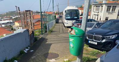 Lixo estava hoje espalhado por todo o lado.