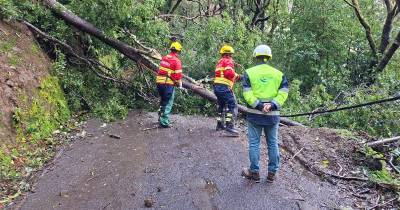 O derrube de árvores foi a ocorrência mais registada pelas autoridades de proteção civil.