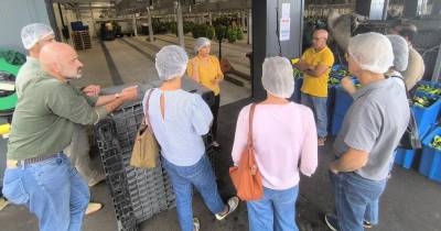 Ordem dos Engenheiros da Madeira visitaram o Centro de Processamento de Banana do Funchal
