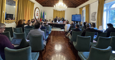 Élia Ascensão: “Vemos que um ponto percentual separa o elogio da tragédia”