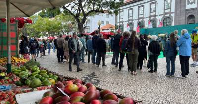 Despertar lento na Avenida Arriaga no dia a seguir ao Natal (com fotos)