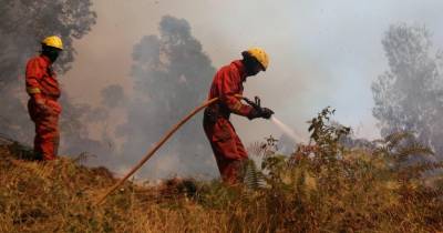 Incêndios: GNR deteve este ano 103 pessoas, mais 35 do que em todo o ano de 2025