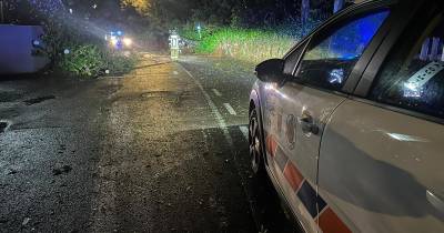 Serviço Municipal de Proteção civil de Santa Cruz esteve no comando das operações.