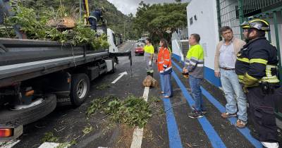 Proteção Civil de Santa Cruz registou hoje 18 ocorrências devido ao mau tempo