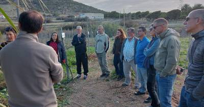 Governo leva 22 mil m2 do Farrobo a hasta pública para fins agrícolas
