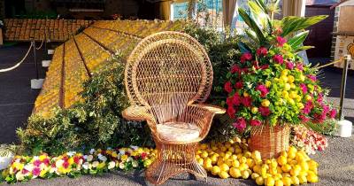 Casa do Povo da Ilha promove debate ‘Limão, caminhos e estratégias’