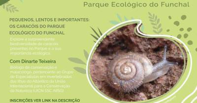 ‘Aos Sábados no Parque’ dedica edição especial aos caracóis do Parque Ecológico do Funchal