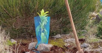 PAN considera “fundamental” proteger a Natureza