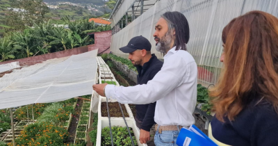 Diretor de Agricultura visita exploração apoiada na Ponta do Sol