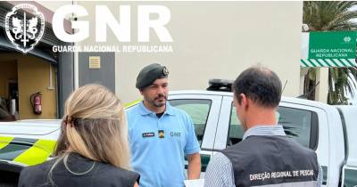 GNR encerra três restaurantes na costa oeste por falta de condições de higiene e segurança