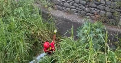 Resgate da mulher projetada para a Ribeira de João Gomes