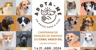 A exposição, que está disponível no Centro de 1 a 21 de abril, apresenta dezenas de animais do Canil do Vasco Gil.