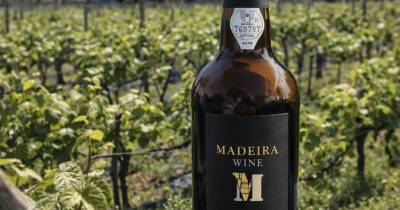 Novo Vinho Madeira Ponta do Sol 5 Anos destaca castas nobres e terroir da ilha