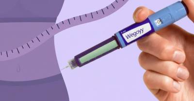 Wegovy Preço: qual o preço real do tratamento Wegovy em Portugal?