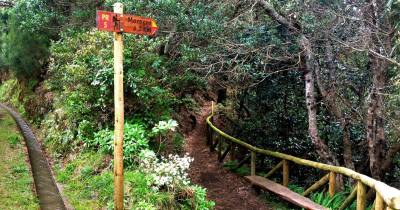 Vereda das Funduras novamente transitável, mas IFCN mantém encerrados nove percursos pedestres