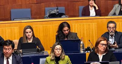 Governo “é a praga e não o remédio” para a natureza, diz PS