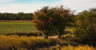 Distritos do Alentejo com aviso amarelo devido à chuva e vento chega no sábado