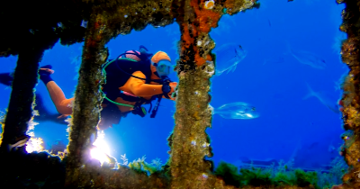 O Atlantic Diving Center pretende proporcionar a todos a prática do desporto de mergulho, tanto de forma recreativa como desportiva.