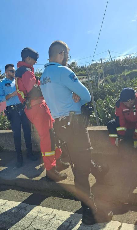 Bombeiros foram socorrer pessoa e acabaram a resgatar cão em Santa Rita