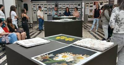 Exposição sobre espécies endémicas ameaçadas na Casa da Luz até 19 de junho