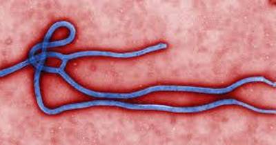 Novo surto de ébola já provocou 65 mortos na RDCongo