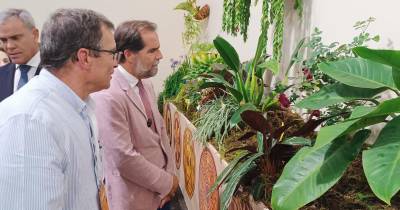 Exposição da flor já está aberta (com fotos)