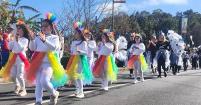 Cortejo da Festa dos Compadres está a encantar madeirenses e turistas (com fotos)