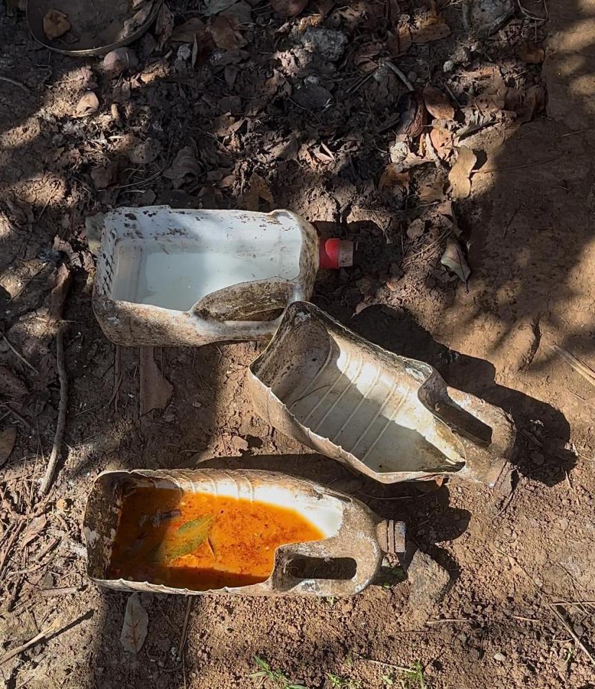 Associação inspeciona sete casas e encontra 19 cães maltratados (com fotos)