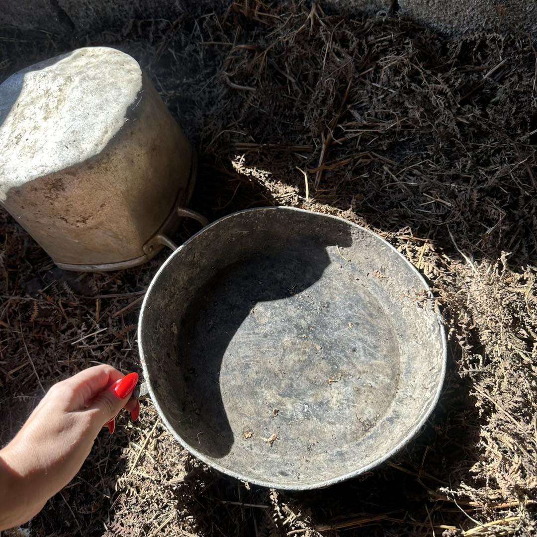 Associação resgata cão acorrentado