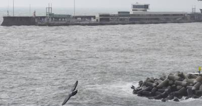 O ‘AIDAstella’ e o ‘Viking Star’ fecham movimento neste porto na semana de Páscoa.