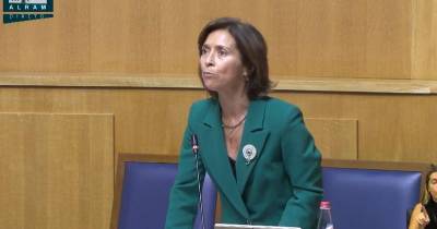 Governo quer reter talento jovem e anuncia medidas para combater desemprego e taxa NEET, afiança Paula Margarido