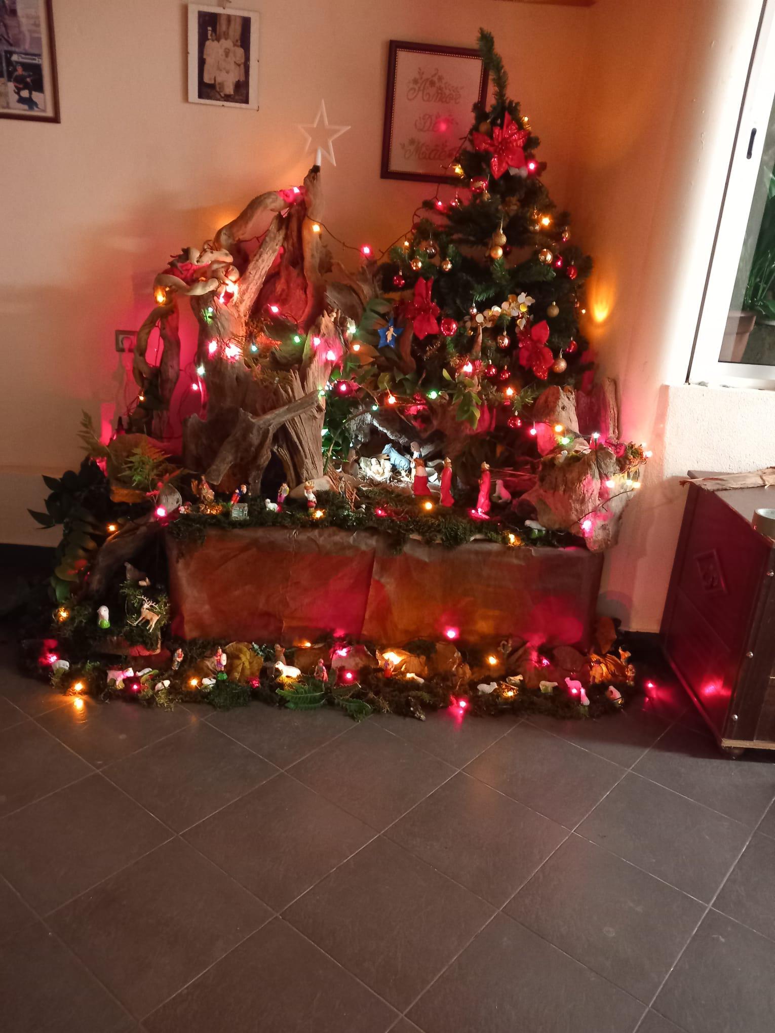 Antes e Depois: O cheiro a Natal de que muitos não abdicam