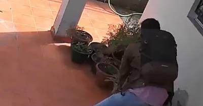 População das Eiras denuncia o ladrão dos vasos de flores (com vídeo)