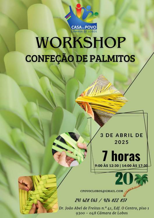 Tradição: Casa do Povo de Câmara de Lobos ensina a fazer palmitos