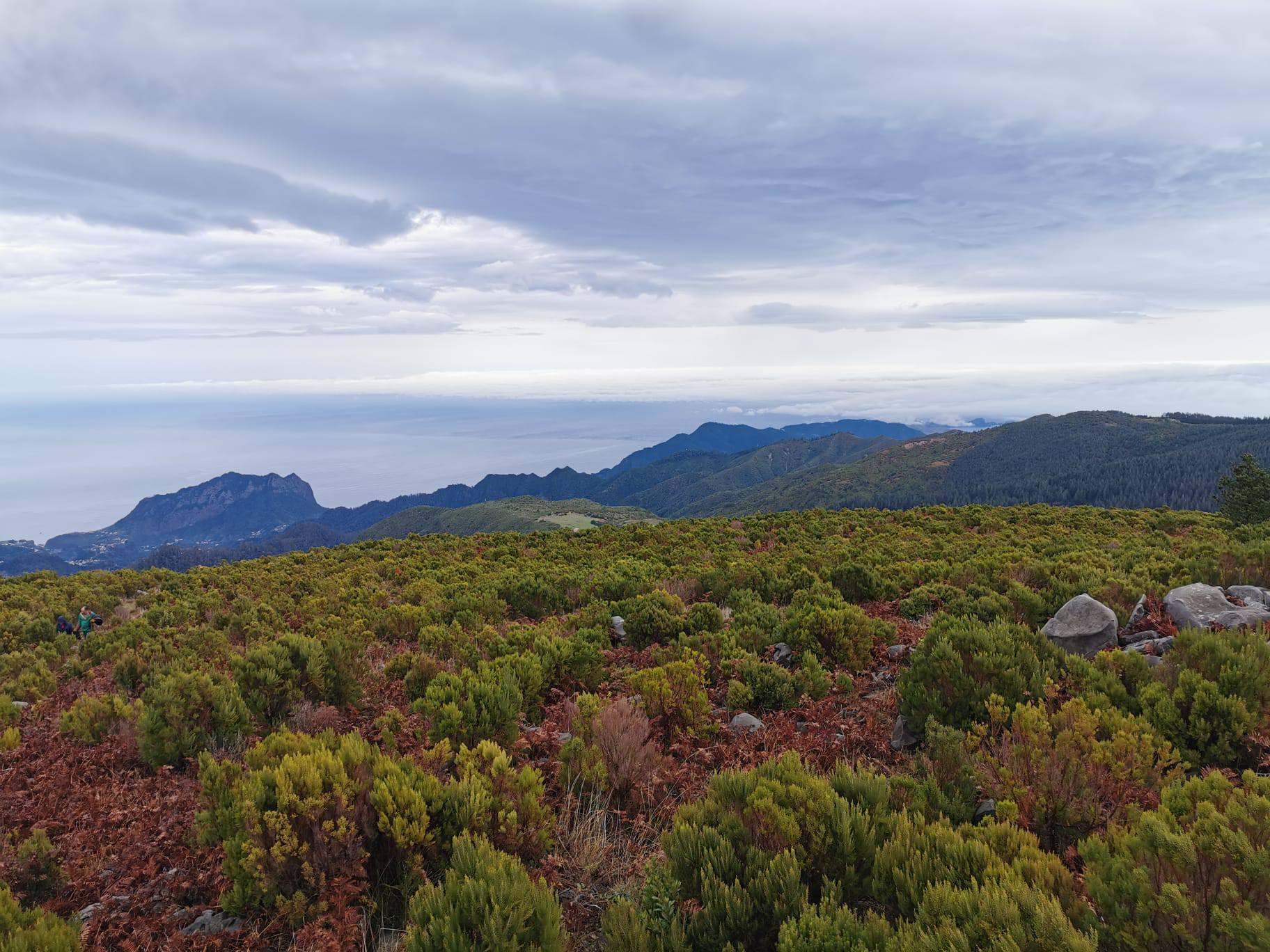 Raimundo Quintal mostra a evolução do Parque Ecológico e Campo de Educação Ambiental 15 anos após os incêndios (com fotos)