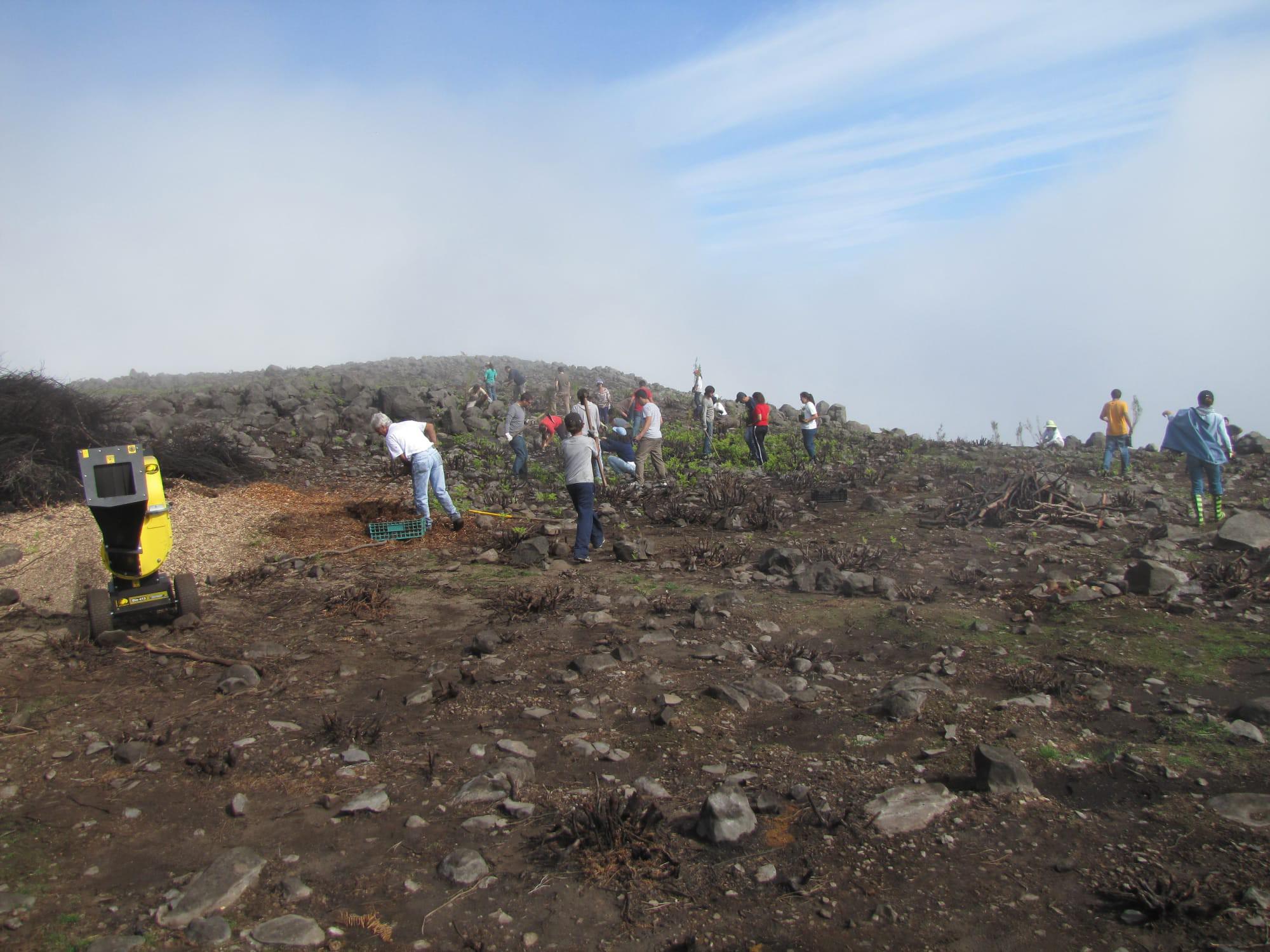 Raimundo Quintal mostra a evolução do Parque Ecológico e Campo de Educação Ambiental 15 anos após os incêndios (com fotos)