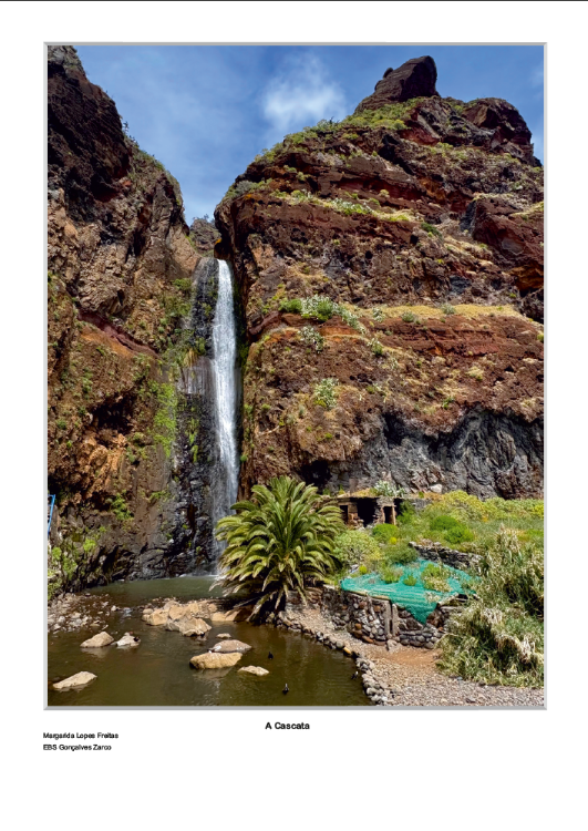 Conheça as fotos selecionadas para o Concurso de Fotografia Digital ‘Paisagens da Madeira’