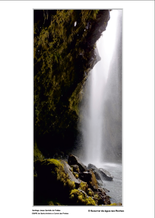 Conheça as fotos selecionadas para o Concurso de Fotografia Digital ‘Paisagens da Madeira’