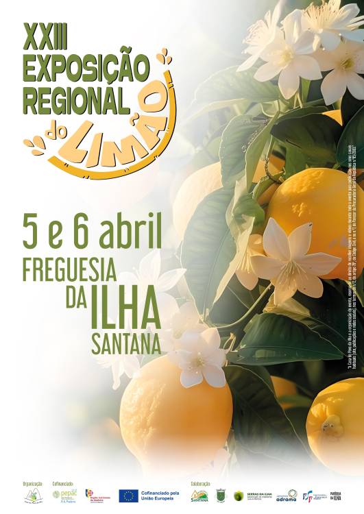 Artistas regionais animam Exposição Regional do Limão