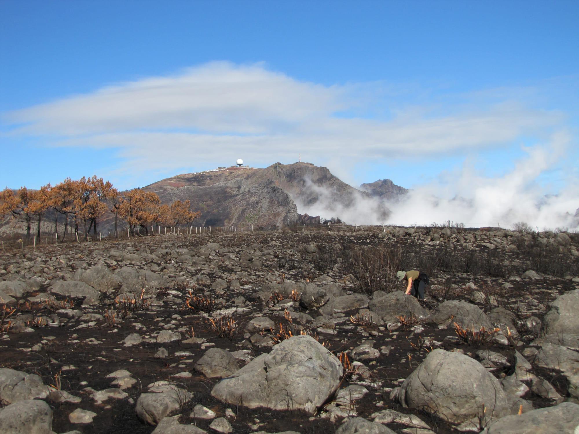 Raimundo Quintal mostra a evolução do Parque Ecológico e Campo de Educação Ambiental 15 anos após os incêndios (com fotos)
