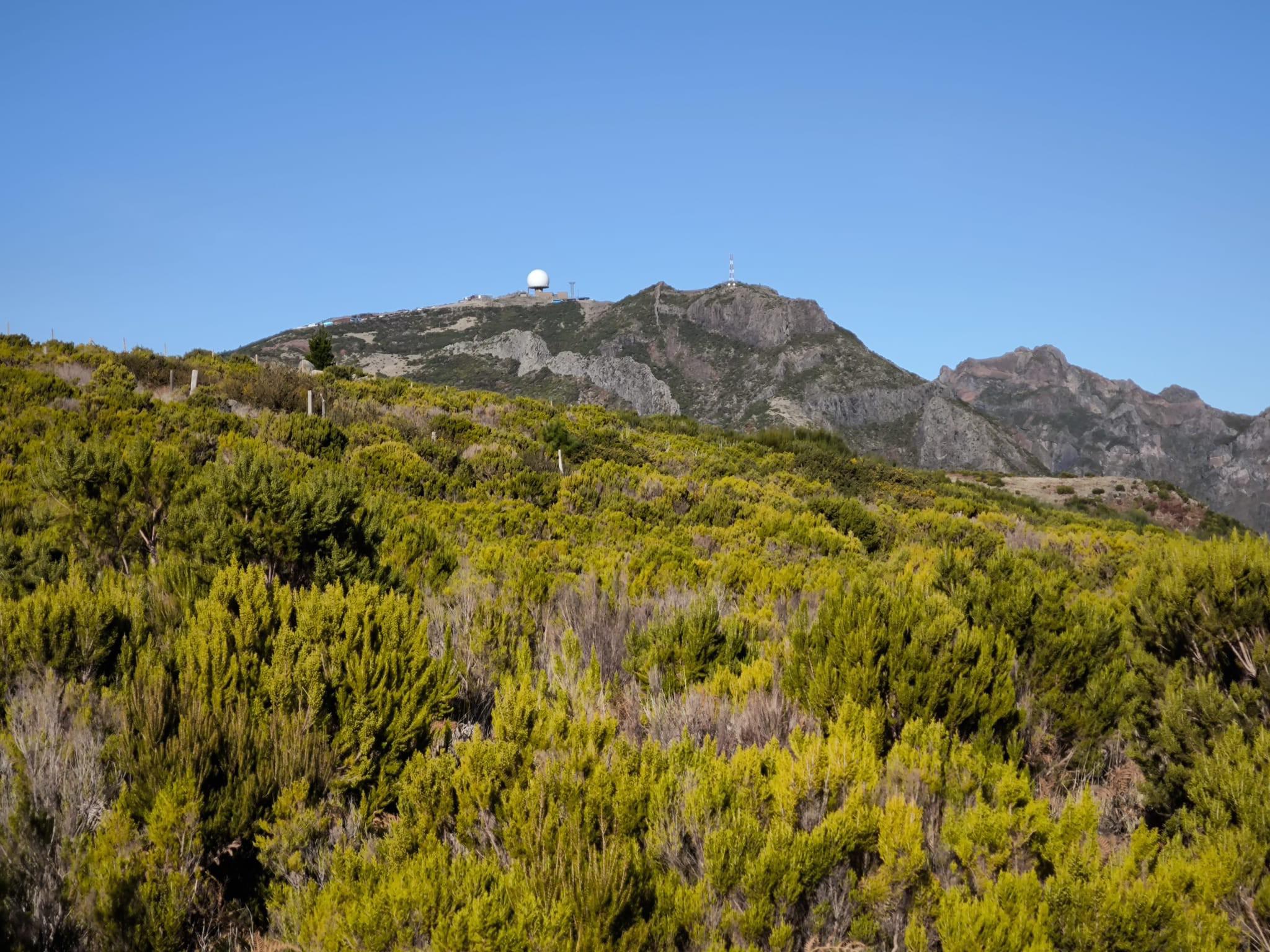 Raimundo Quintal mostra a evolução do Parque Ecológico e Campo de Educação Ambiental 15 anos após os incêndios (com fotos)