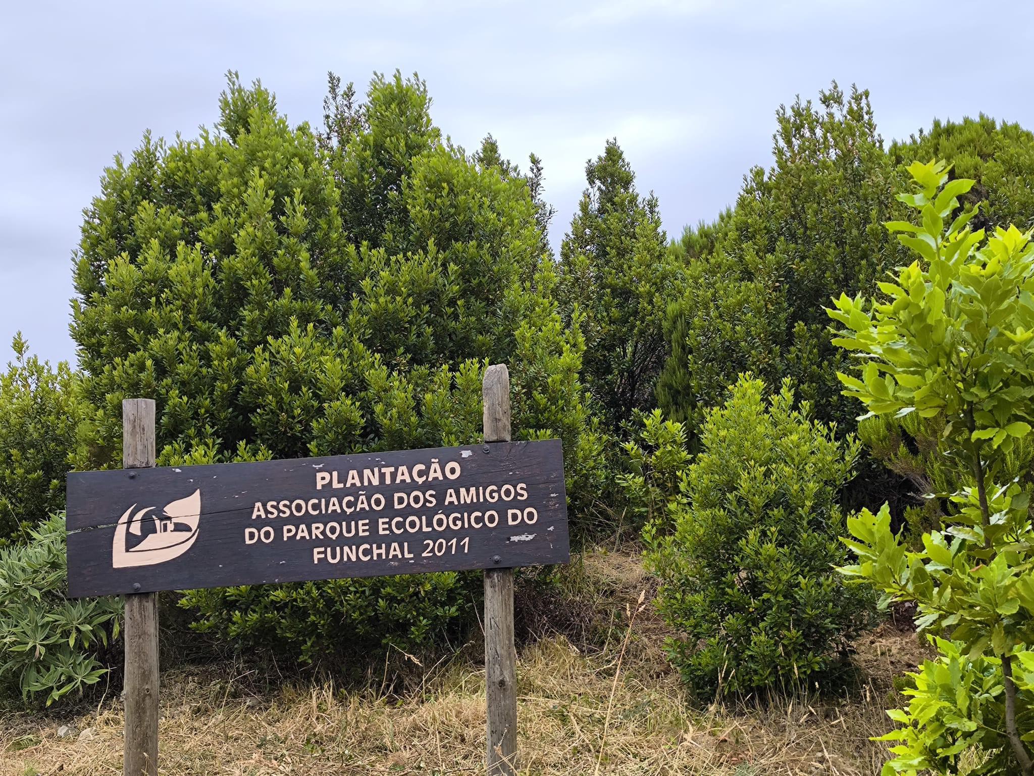 Raimundo Quintal mostra a evolução do Parque Ecológico e Campo de Educação Ambiental 15 anos após os incêndios (com fotos)