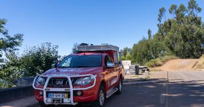 Bombeiros chamados à Camacha para retirar pinheiro