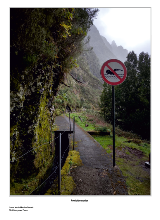 Conheça as fotos selecionadas para o Concurso de Fotografia Digital ‘Paisagens da Madeira’