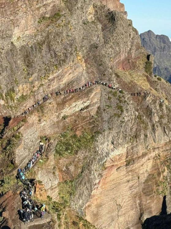 Enchente na reabertura da vereda do Pico do Areeiro (com fotos)